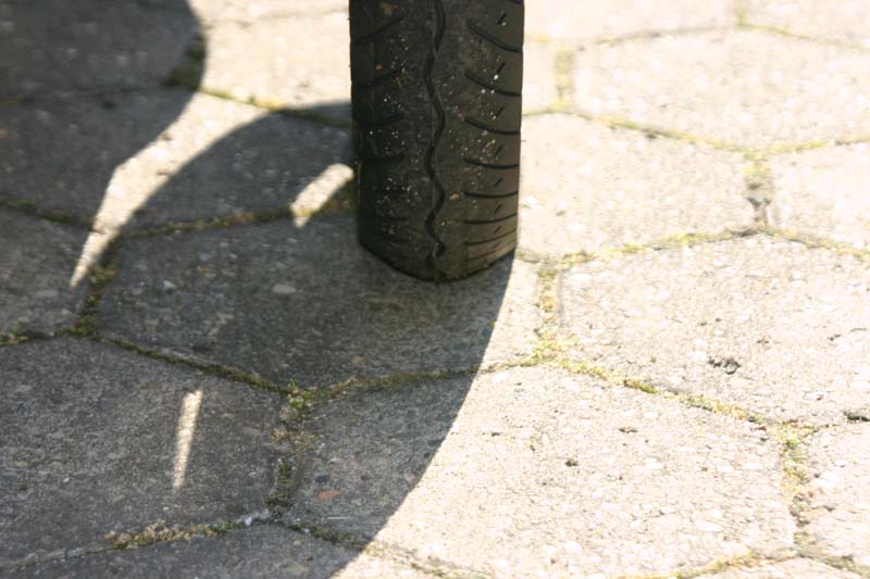 Bild